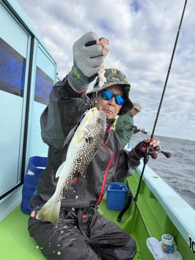 フグ(アカメフグ)