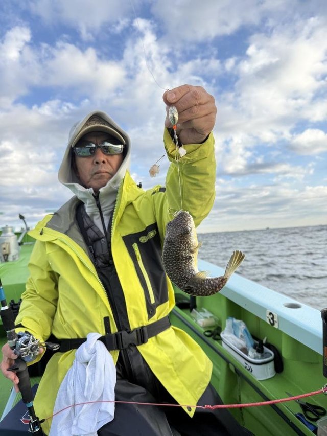 フグ(アカメフグ)