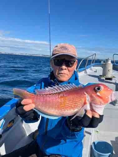 アマダイ(アカアマダイ)