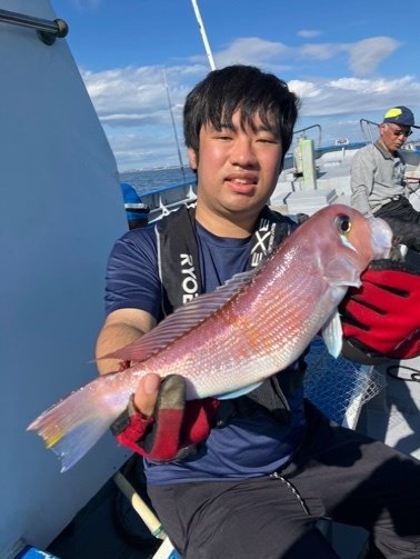 アマダイ(アカアマダイ)