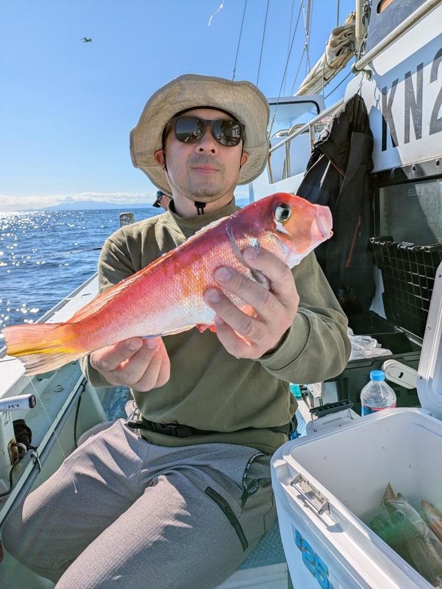 アマダイ(アカアマダイ)