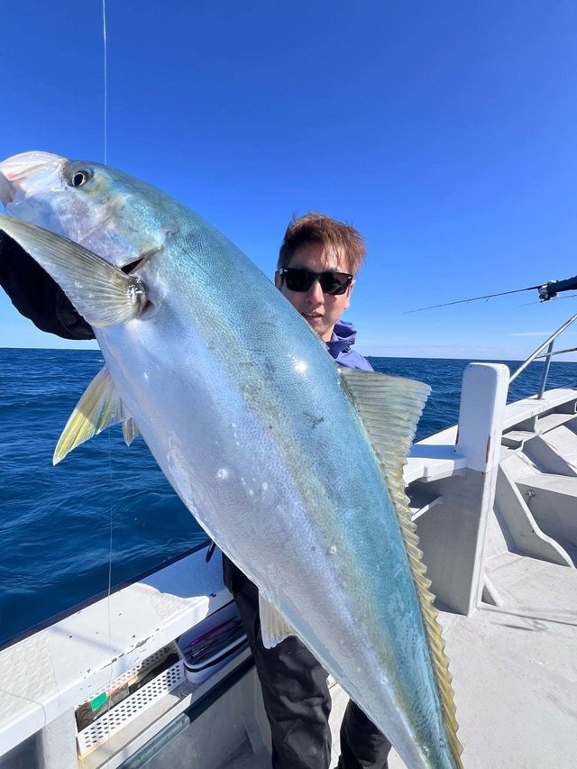 サンパク(ブリ)