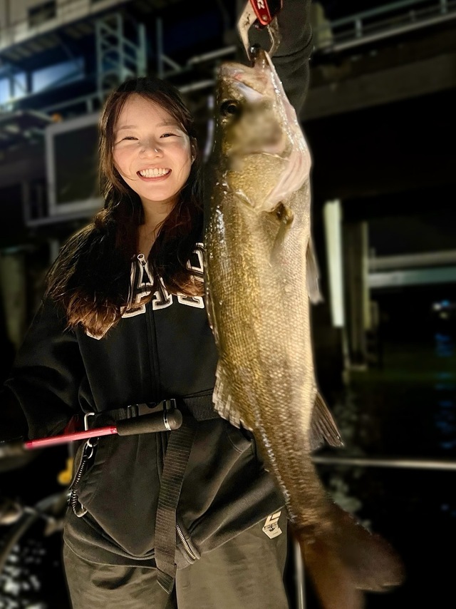 シーバス(スズキ)