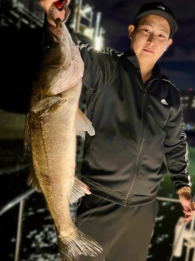 シーバス(スズキ)