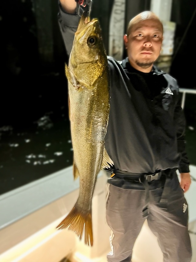 シーバス(スズキ)