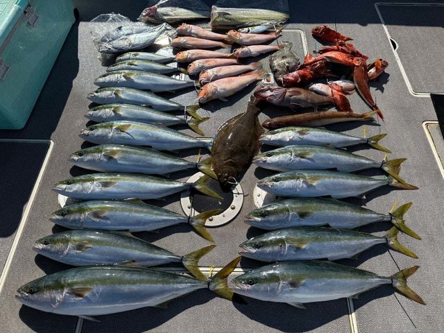 メジロ(ブリ)・アマダイ(アカアマダイ)・ホウボウ・ヒラメ