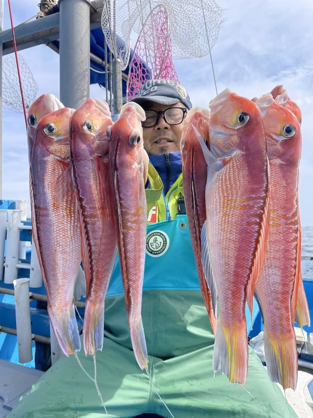 アマダイ(アカアマダイ)