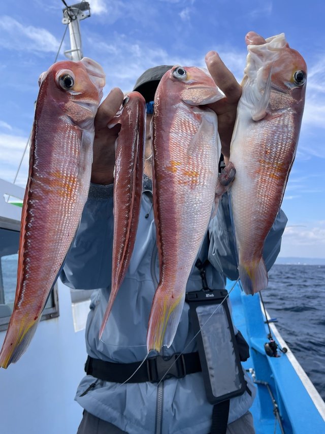 アマダイ(アカアマダイ)