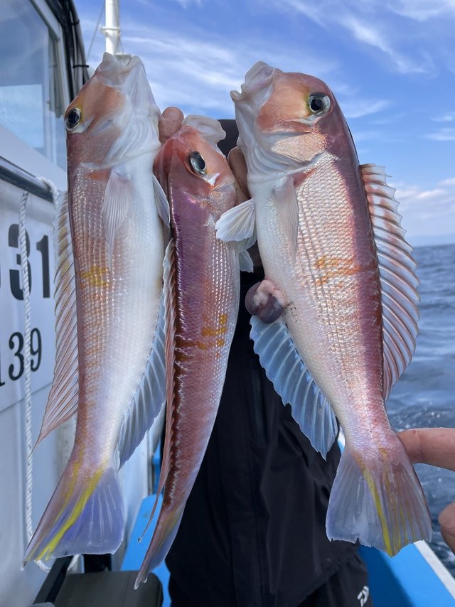 アマダイ(アカアマダイ)