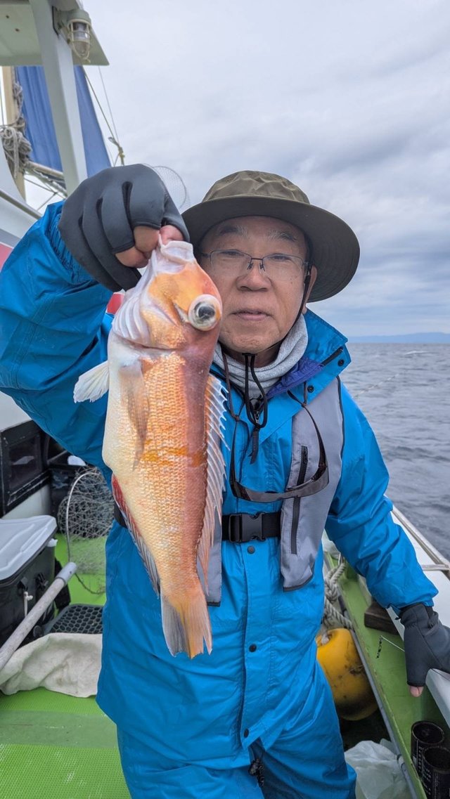 アマダイ(アカアマダイ)