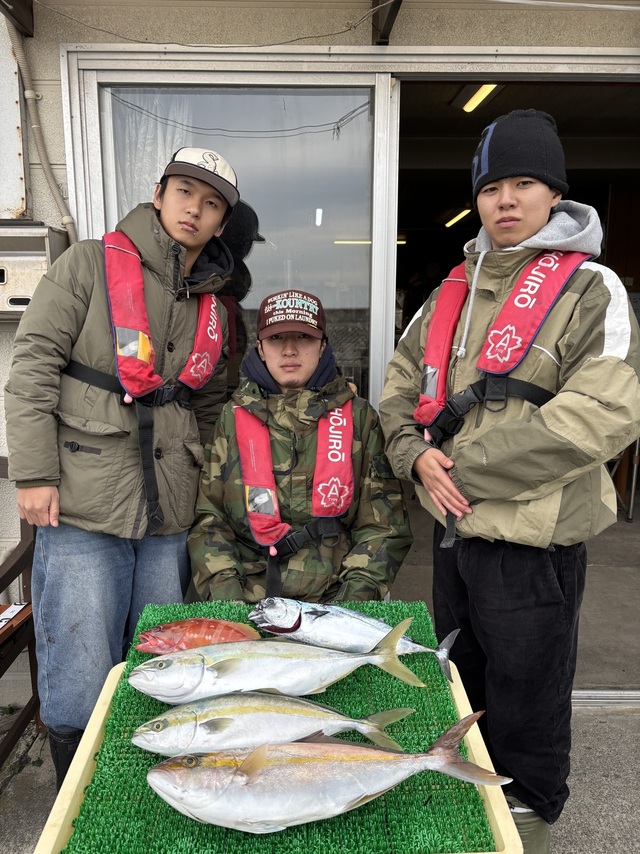 イナダ(ブリ)・カンパチ