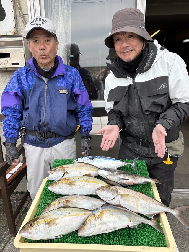 イナダ(ブリ)・カンパチ