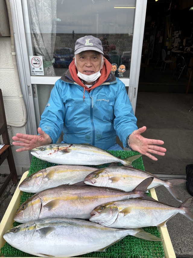 イナダ(ブリ)・カンパチ