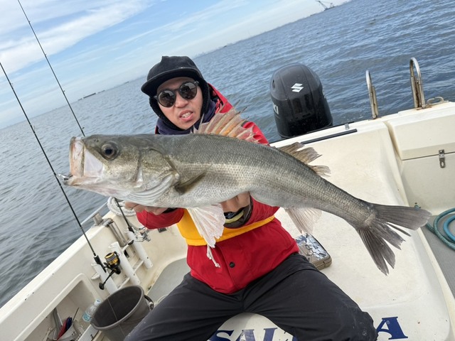 シーバス(スズキ)