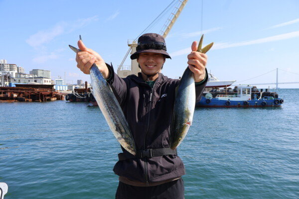 ハマチ(ブリ)・サゴシ(サワラ)