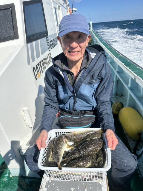 フグ(ショウサイフグ)