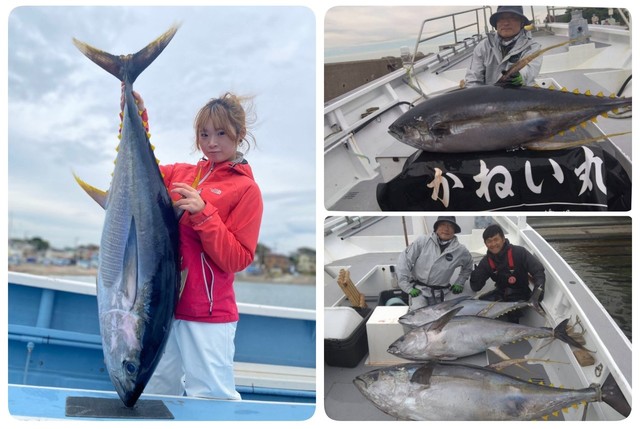 キハダマグロ(キハダ)