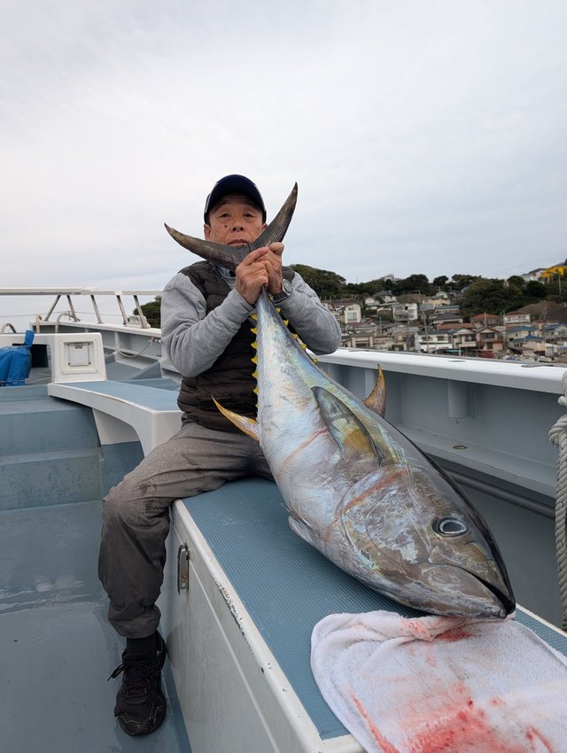 キハダマグロ(キハダ)