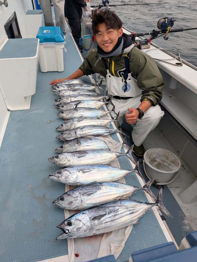 ホンガツオ(カツオ)