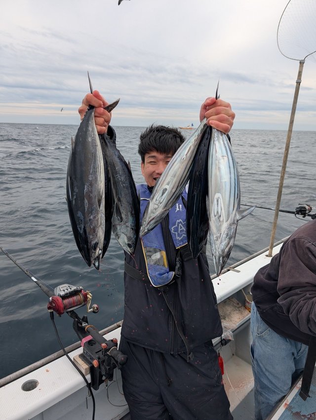 ホンガツオ(カツオ)