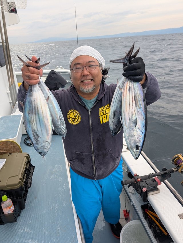 ホンガツオ(カツオ)