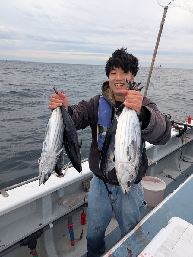 ホンガツオ(カツオ)