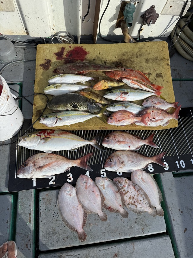 タイ(マダイ)・カンパチ・トラフグ