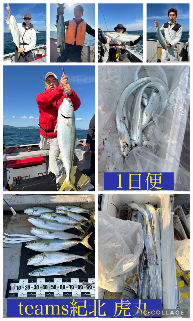 ブリ・メジロ(ブリ)・サワラ・タチウオ