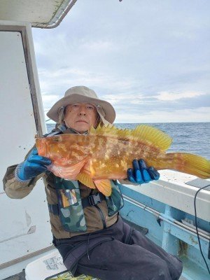 アコウ(キジハタ)