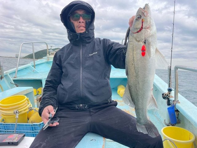 シーバス(スズキ)