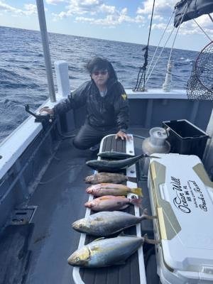 オオモンハタ・ハマチ(ブリ)・シオ(カンパチ)・クロホシフエダイ