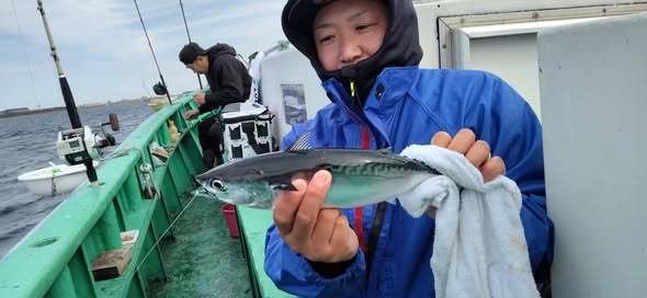 ソーダガツオ(マルソウダ)