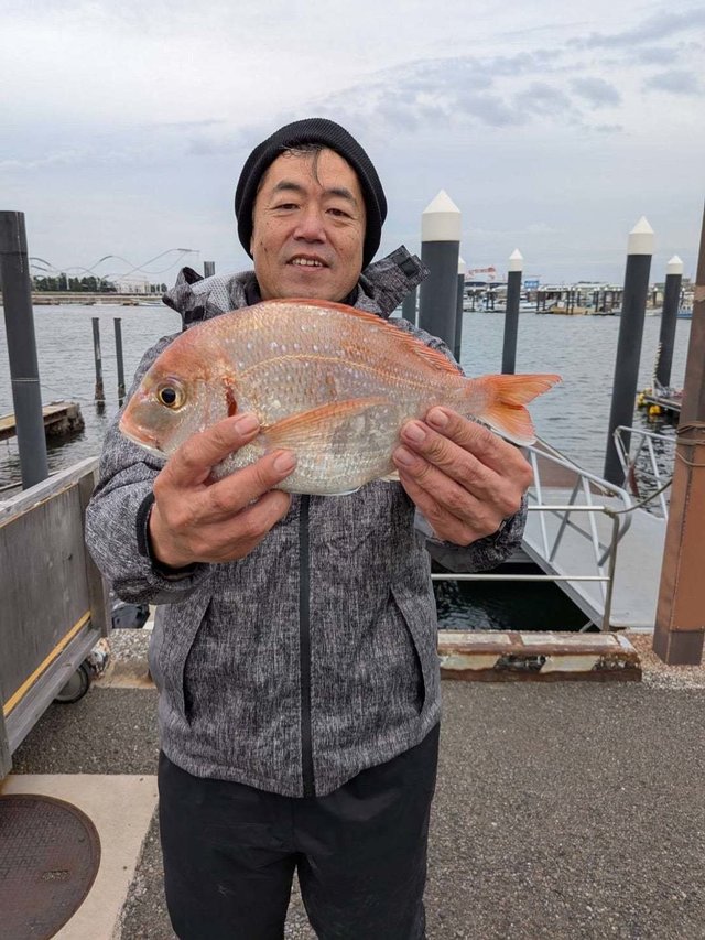 ハナダイ(チダイ)