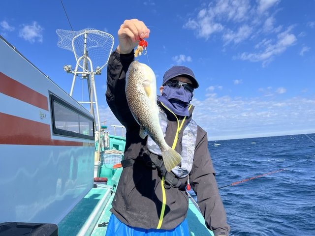 フグ(ショウサイフグ)