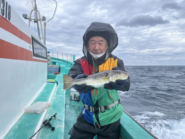 フグ(ショウサイフグ)