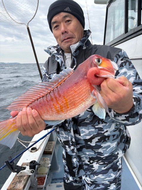 アマダイ(アカアマダイ)