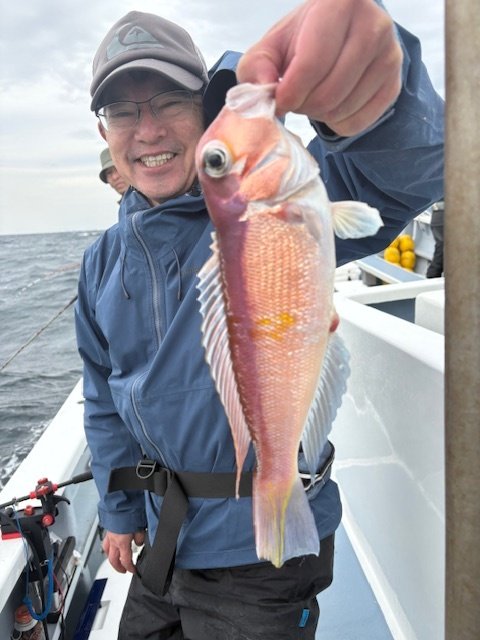 アマダイ(アカアマダイ)