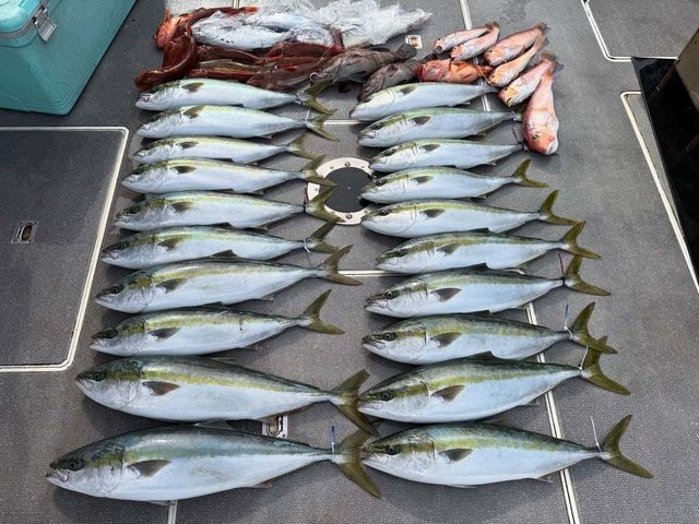 ハマチ(ブリ)・アカアマダイ・ホウボウ