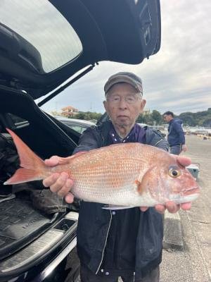 マダイ