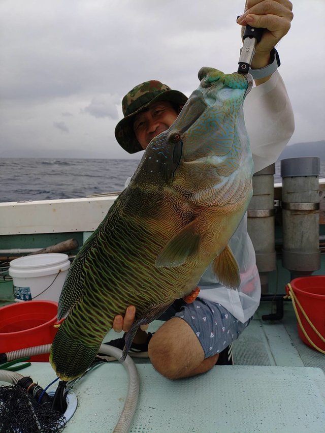 メガネモチノウオ