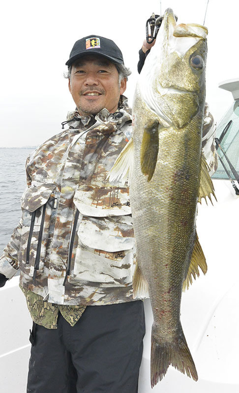 シーバス(スズキ)