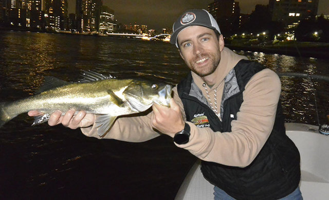 シーバス(スズキ)