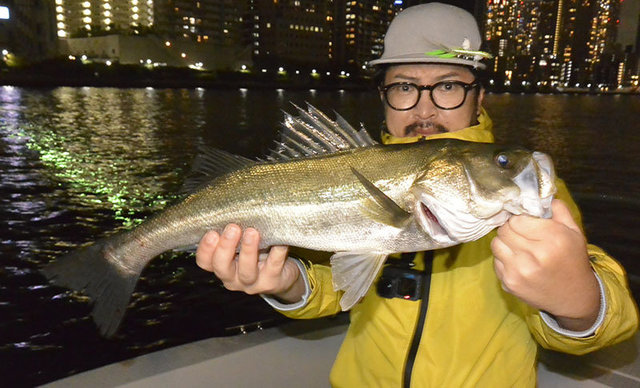 シーバス(スズキ)