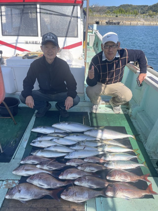 マダイ・マアジ・ハマチ(ブリ)・メジロ(ブリ)・イサキ・マサバ