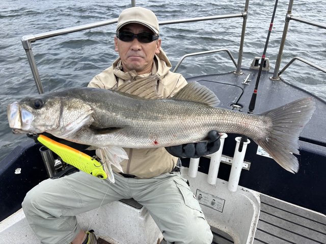 シーバス(スズキ)