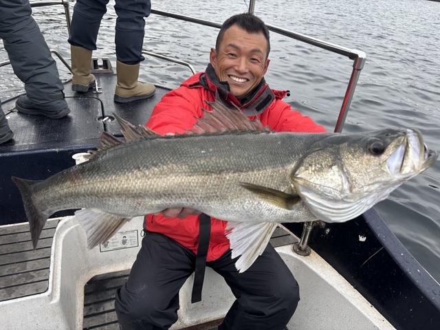 シーバス(スズキ)