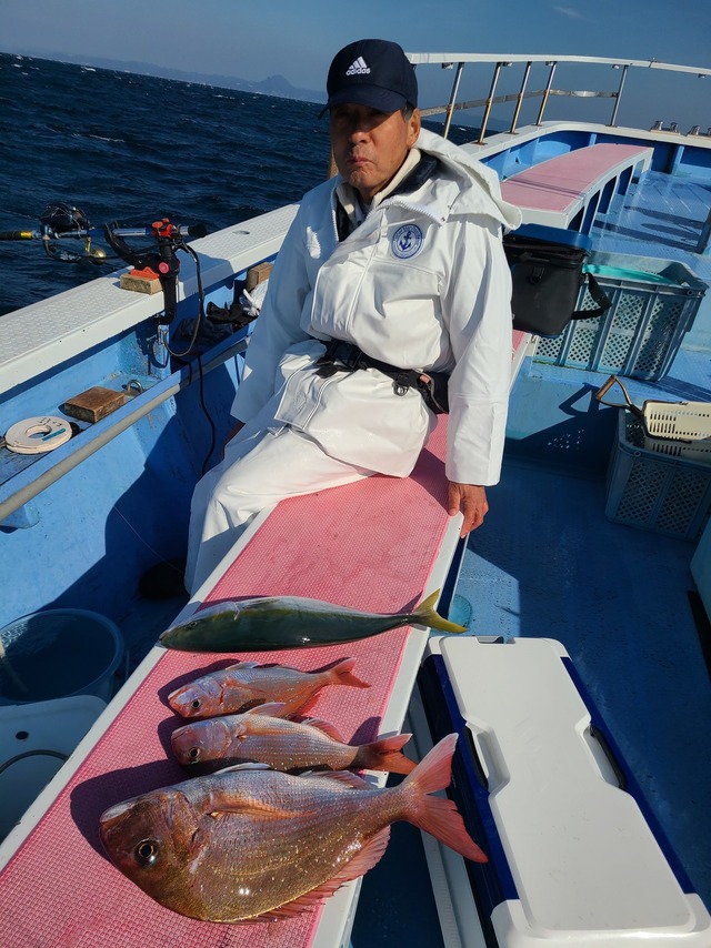 マダイ・ワラサ(ブリ)