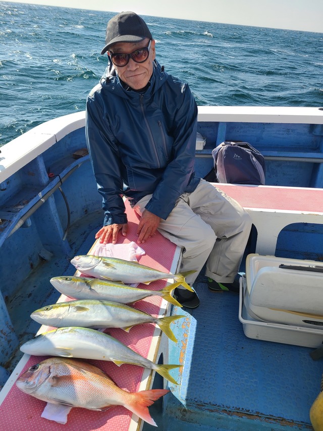 マダイ・ワラサ(ブリ)