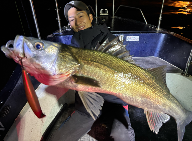 シーバス(スズキ)