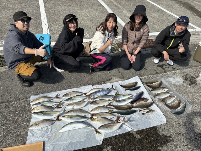 イナダ(ブリ)・カンパチ・カツオ